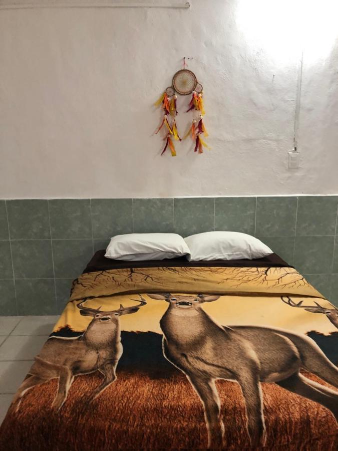Posada 77 Τουλούμ Εξωτερικό φωτογραφία