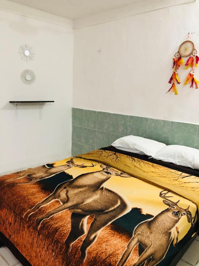 Posada 77 Τουλούμ Εξωτερικό φωτογραφία